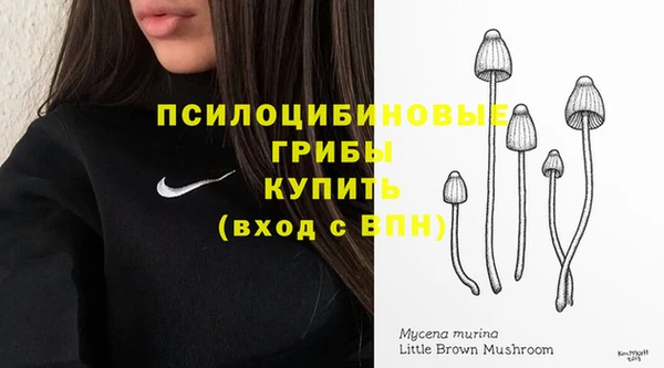 трава Магадан