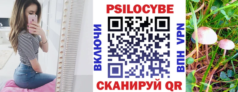 Псилоцибиновые грибы GOLDEN TEACHER  купить   Ялуторовск 