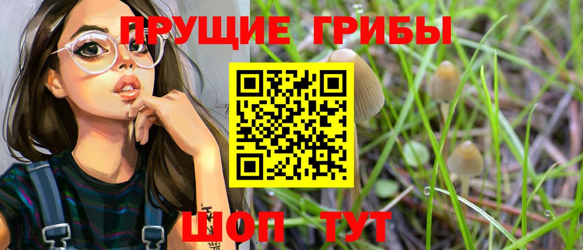 Ялуторовск  Псилоцибиновые грибы мухоморы  Вход с VPN 