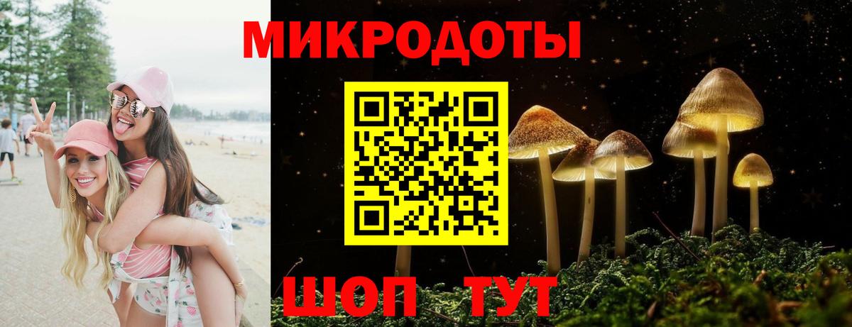 закладка  Ялуторовск  Галлюциногенные грибы MAGIC MUSHROOMS 